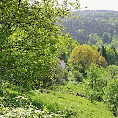 Hebergement Francois Mathieu Saint-Maurice-sur-Moselle Exterior foto